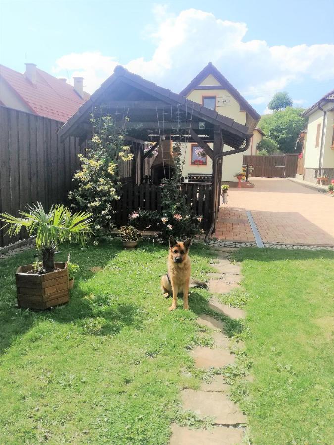 Apartamento Privát RIA Pavlova Ves Exterior foto